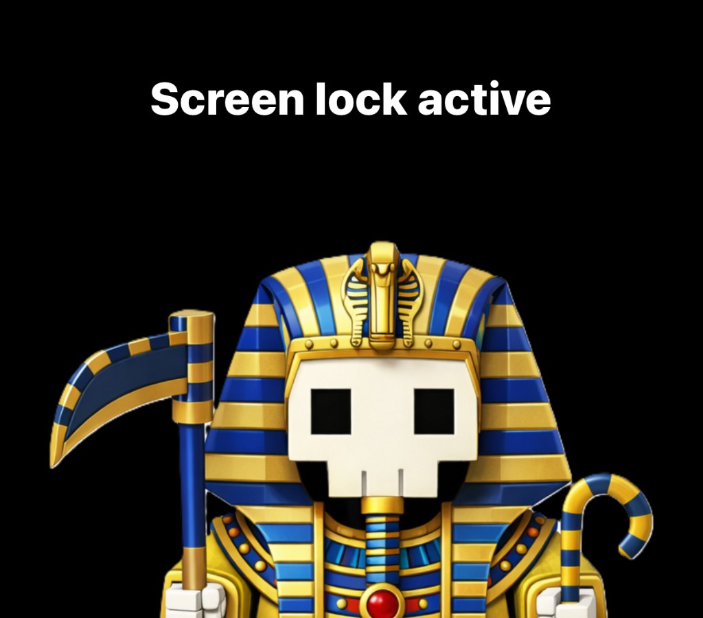 Screen lock active